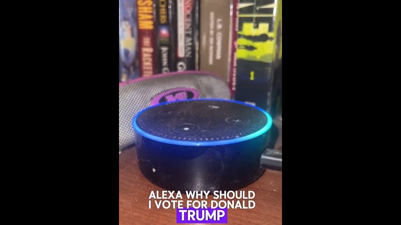 Alexa. What Is Election Interferance?