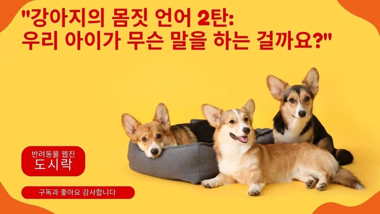 "강아지의 미묘한 행동 언어: 그들의 속마음 풀어보기" 2탄