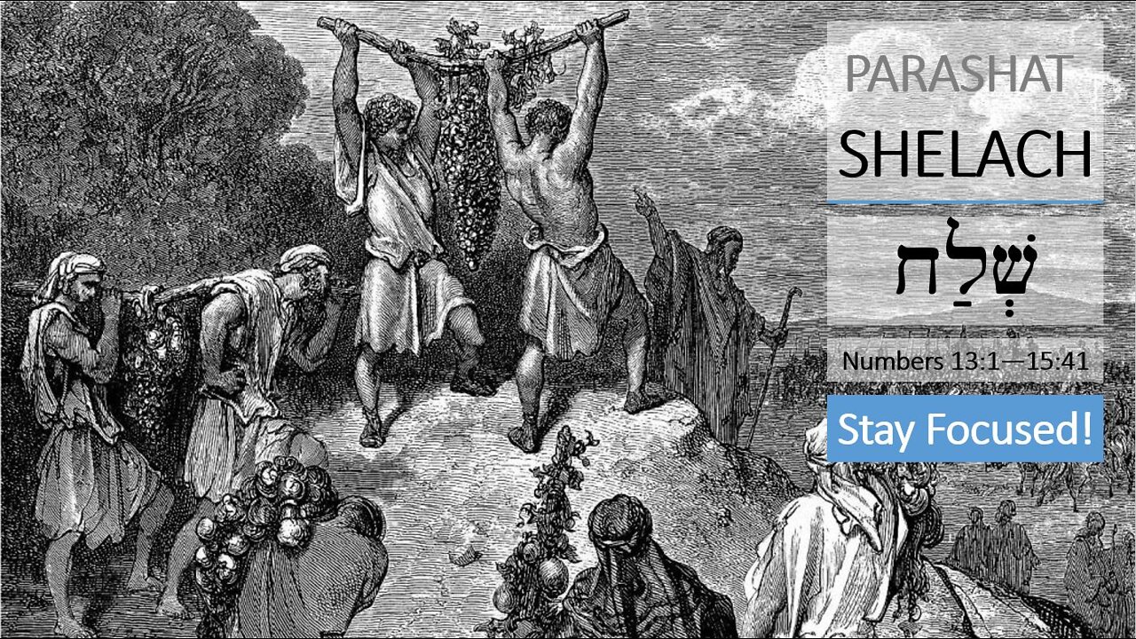 Parashat Shelach: Numbers 13:1—15:41 – Stay Focused!