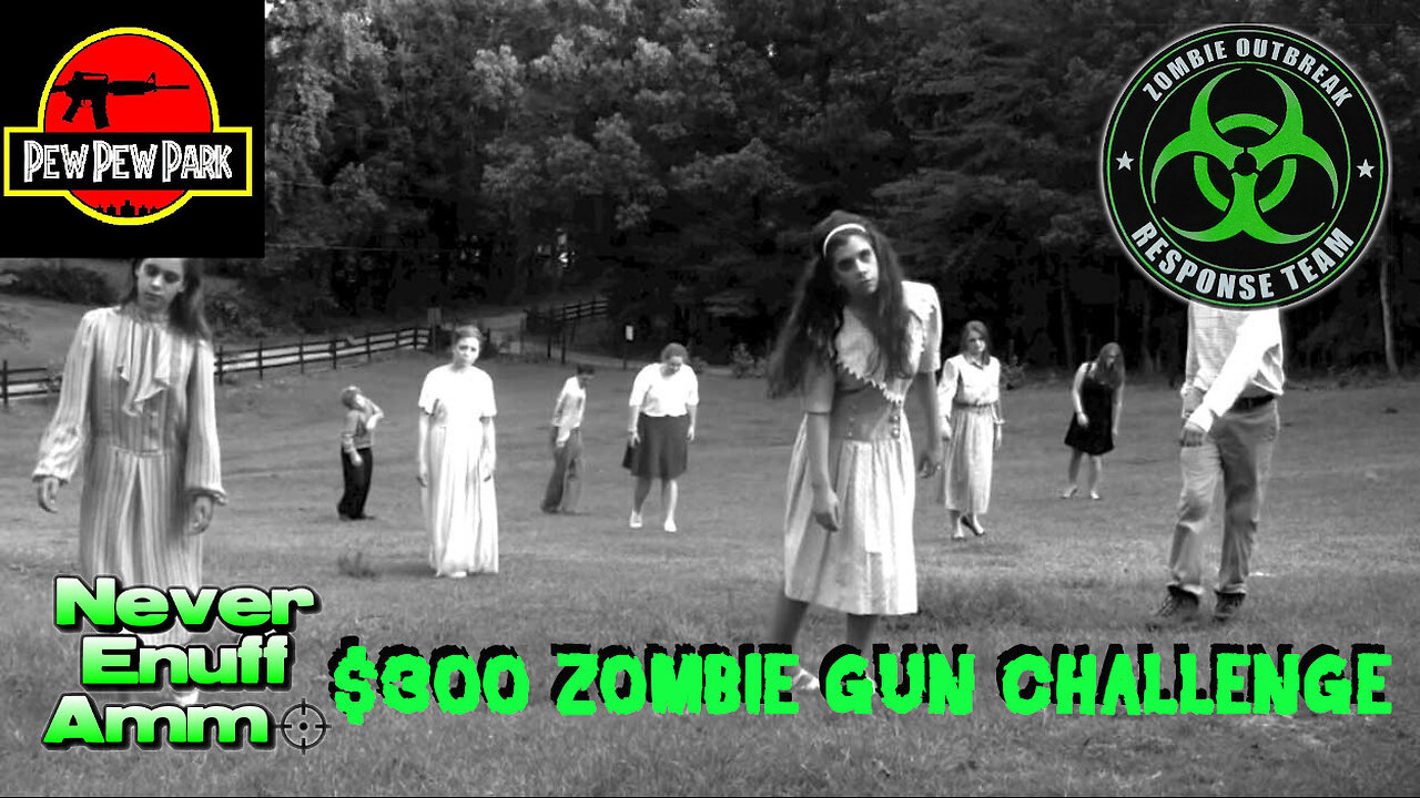 NeverEnuffAmmo $300 Zombie Gun Challenge - my submission