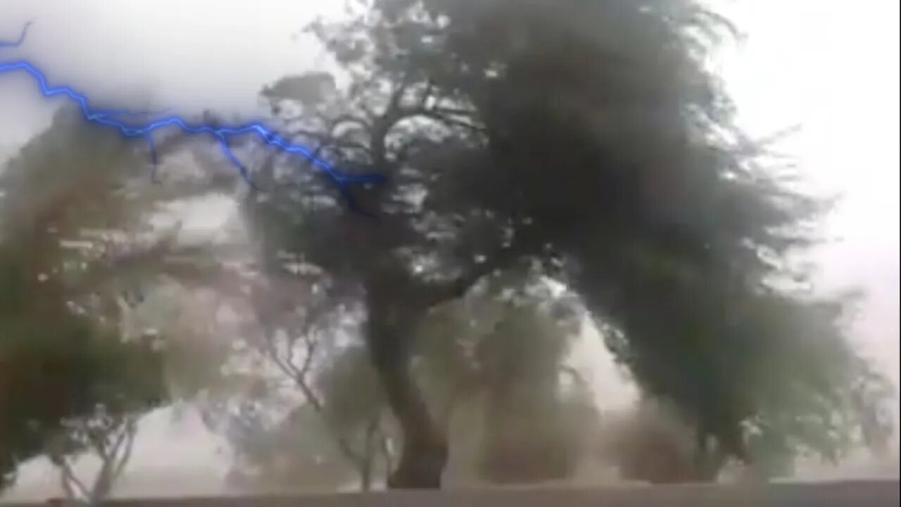 Watch as the top of this tree snaps off from an Arizona monsoon