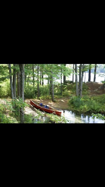 Ontario Parks Are Giving Away Free Day-Use Permits This Weekend