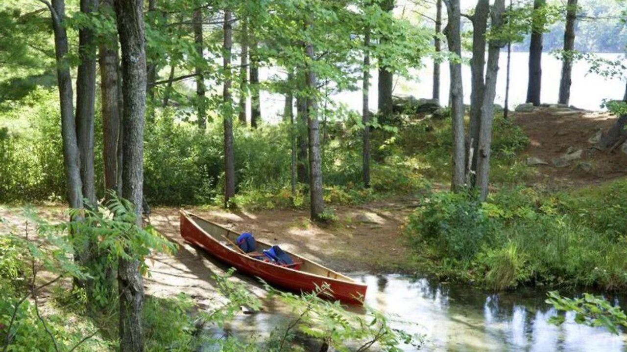 Ontario Parks Are Giving Away Free Day-Use Permits This Weekend