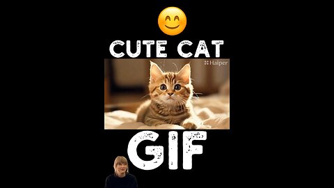 Cute Cat Gif