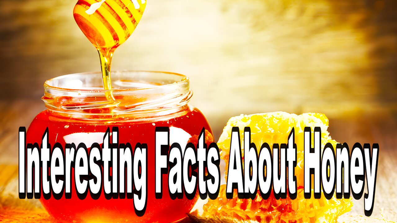 Interesting Facts About Honey