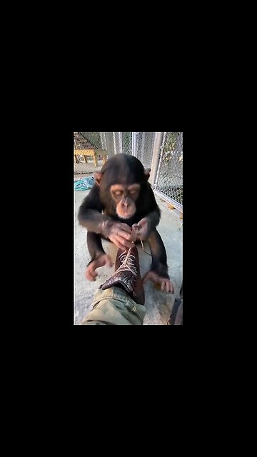 Cool, he's so helpful