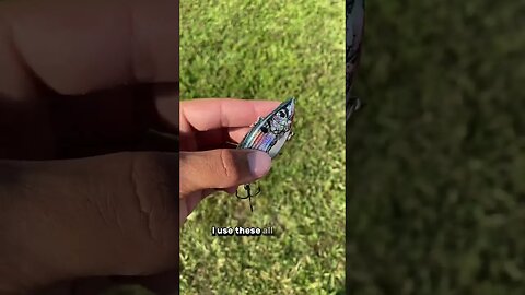 Which is better for Largemouth bass????? 🤔