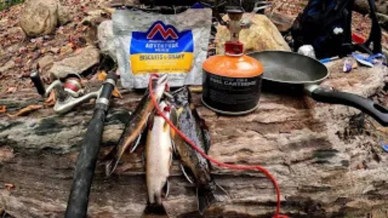 Fishing And Camping For Brook Trout: Catch & Cook in the Wild!