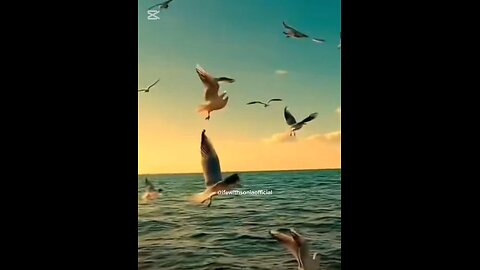 Quran_Al_Kaream🌺