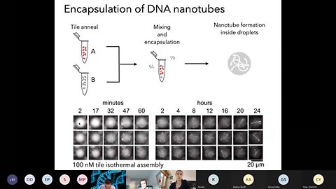 Elisa Franco:Dynamische Selbstorganisation von eingekapselten DNA-Nanoröhrchen 2021🙈