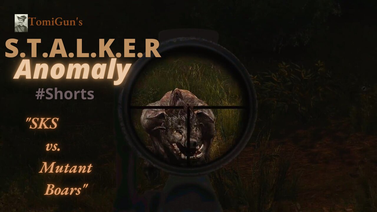 SKS vs Mutant Boars - S.T.A.L.K.E.R Anomaly Short Scene