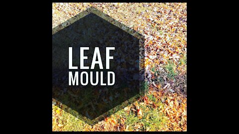 Leaf Mould | our Bin Set Up