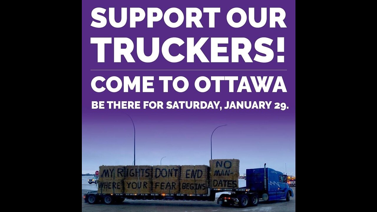 Canada Unity - Herding The East Convoys Into Ottawa Getting Ready To Head Downtown 📣 #BearHUG- #NoVaxxPass #NoMandatesEVER #TrudeauMustGO #O'toolMustGO