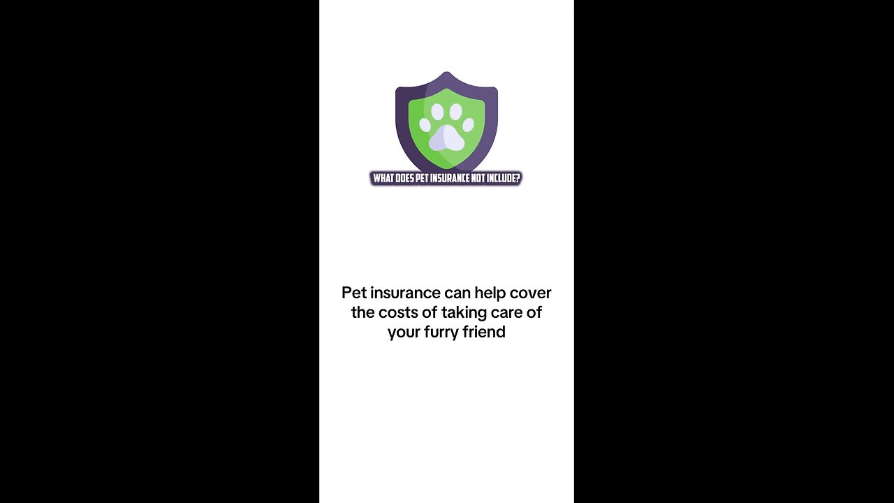 What Does Pet Insurance Not Include?