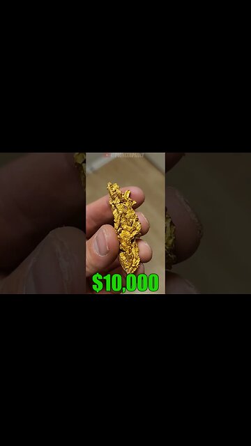 The Most Beautiful Crystalized Gold Nuggets! #goldrush #beautiful