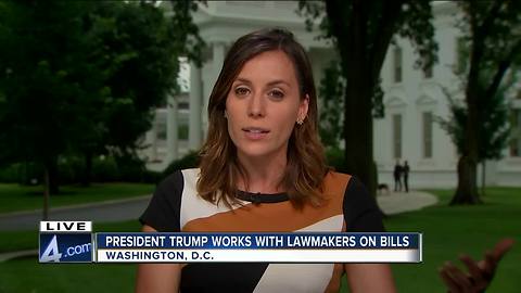 White House Correspondent Hallie Jackson on Trump's immigration policy