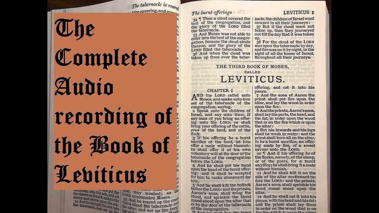 Leviticus: Satan hates the word of God! Audio book