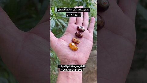 حجر سليماني