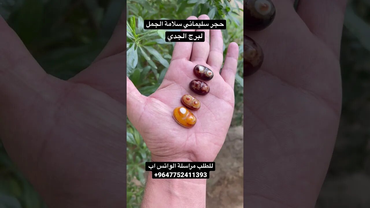 حجر سليماني