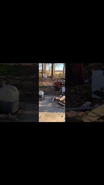 Shooting a printer (this was awhile ago)