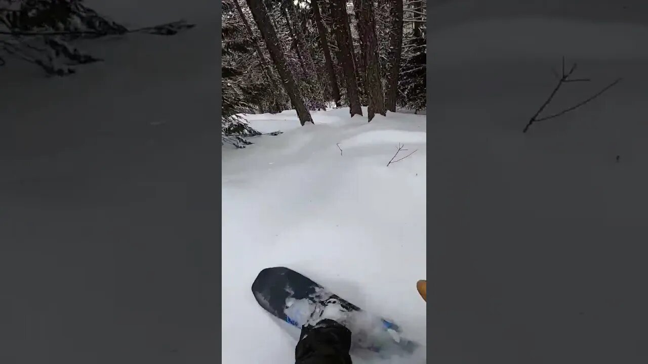 Ask Me For Snowboarding Tips #shorts #short #snowboarding #snowboard #powder #pow #trees #fernie