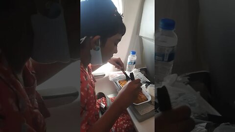 প্লেনের ভেতরে দুপুরের খাবার খাওয়া #lunch #plane