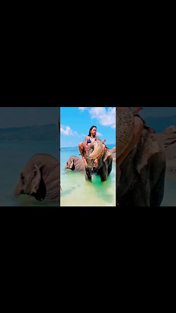 ela está sentando na tromba do elefante 🐘