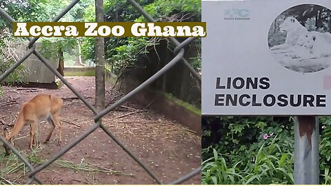 Before you go to Ghana Accra Zoo