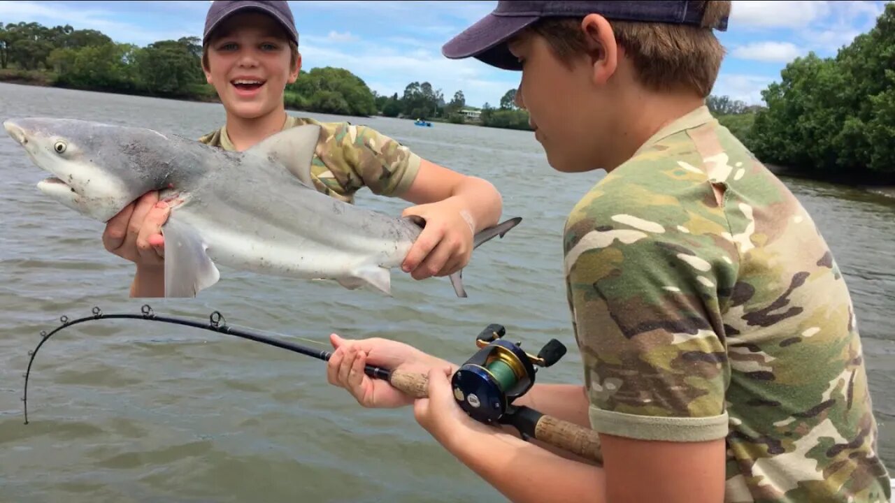 Shark Fishing Logan River - Stabbed By Worlds DEADLIEST Fish