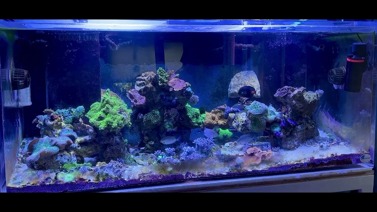 300 gallon just running