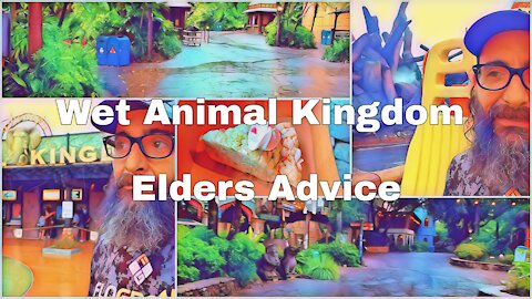 A Wet Day At Animal Kingdom | Some Old Advice