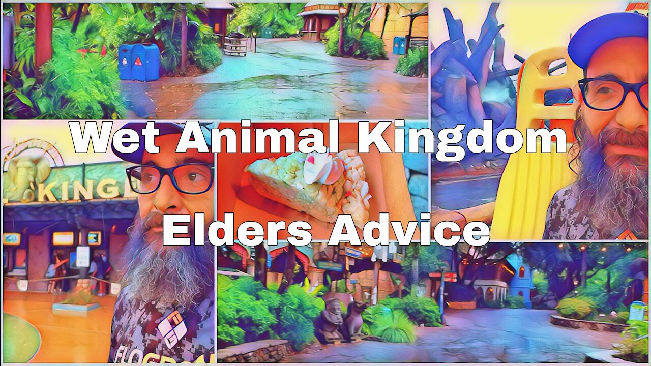 A Wet Day At Animal Kingdom | Some Old Advice