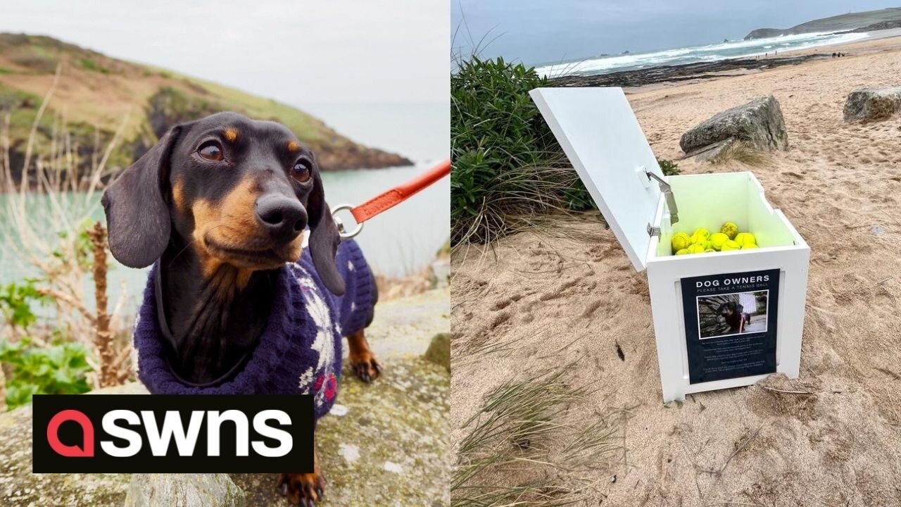 Couple leave box of tennis balls on beach in memory of their dachshund