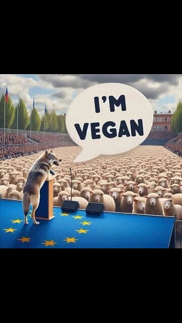 😲😲😲 Massive Python spotted after a flood in Thailand.