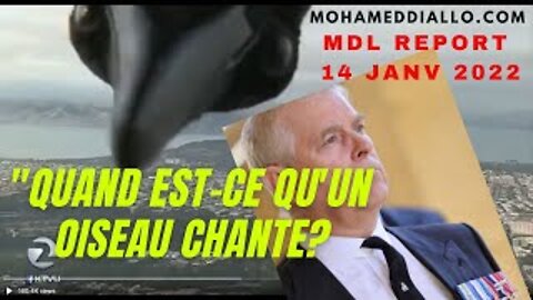 MDL REPORT 14 JANV 2021-QUAND EST-CE QU'UN "OISEAU" CHANTE?. "ILS" N'ONT PLUS LEUR PROTECTION