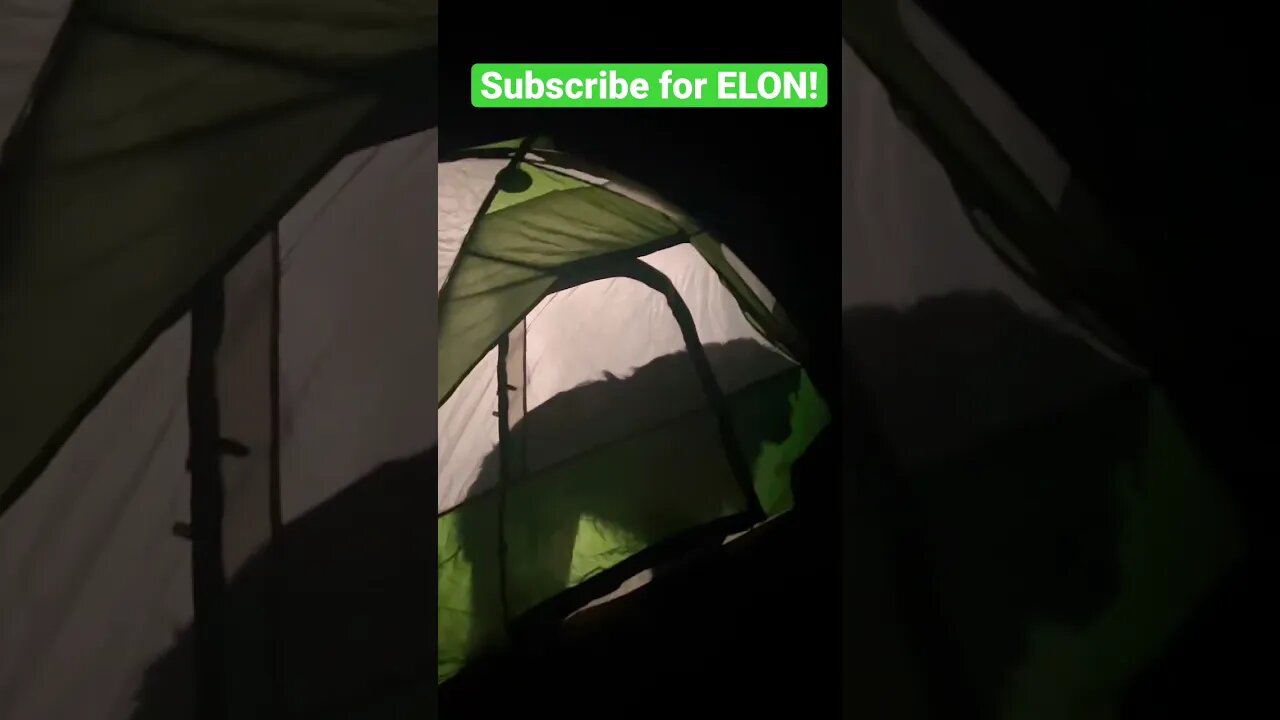 Elon Has His Own Tent And He slept like a dog! #shorts