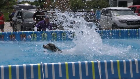 Coolwag 2021 Memorial Day Weekend Leap, Splash #9