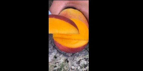 Apple Fresh Fruit Video for You