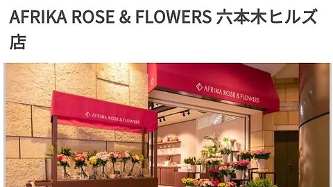 AFRIKAANS ROSE AND FLOWER AT JAPAN ROPPONGI TOKYO 🗼 !! -- FRANSISCA OFFICIAL