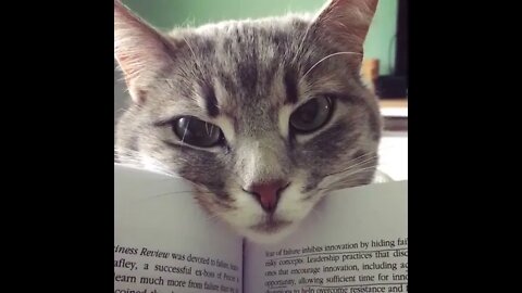 Bookmark