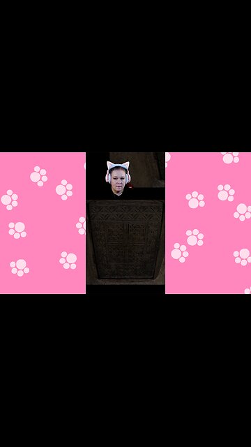 I KNEW I heard something!