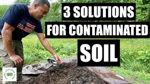 Give Me Fertility, Or I'll Get it Myself! // Contaminated Soil