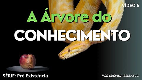 Vídeo 6. Pré Existência. A Árvore do Conhecimento do Bem e do Mal.