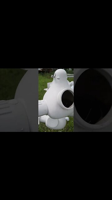 how many purple Martin eggs 🥚 👈🤔#purplemartins