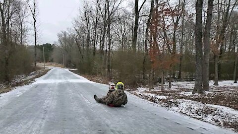 Bubba and Sis on the sled