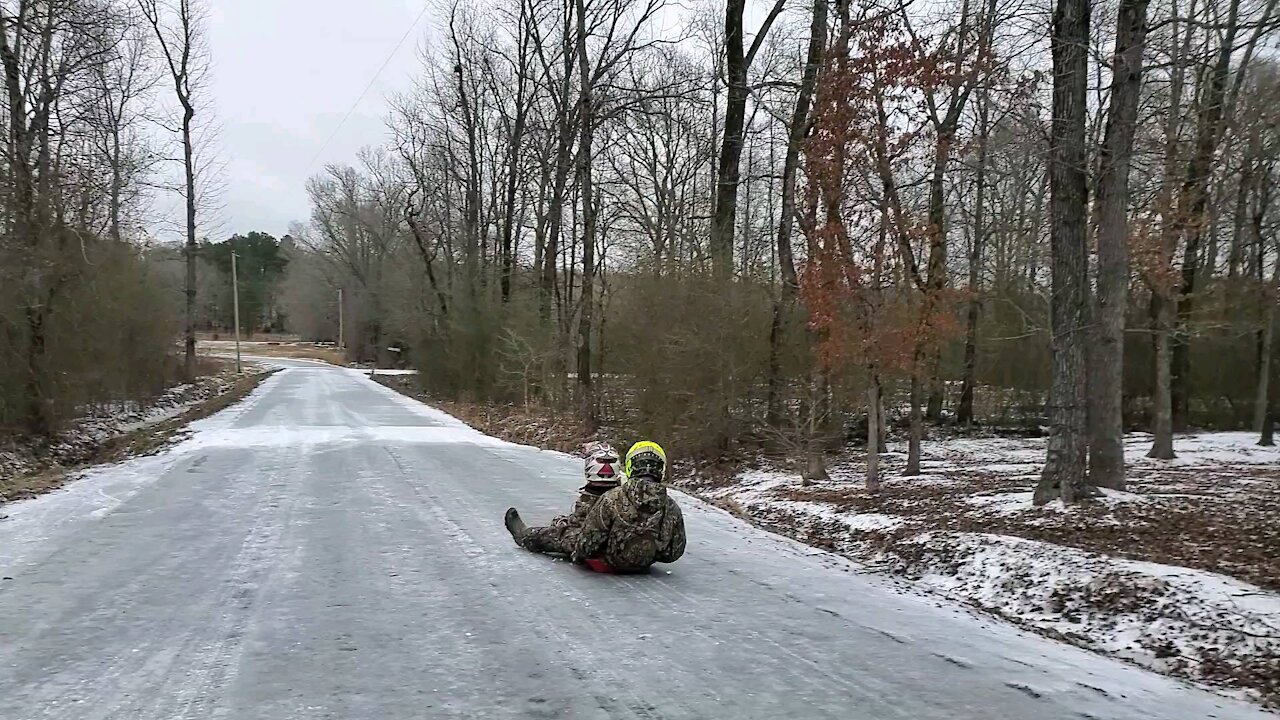 Bubba and Sis on the sled