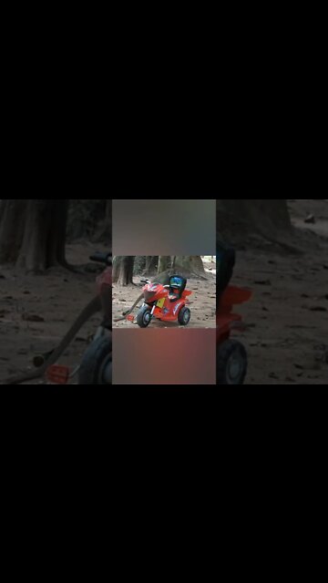 Monkey 🐒 vs bicycle 🚲 funny 🤣 #Shorts #ytshorts #UbertainmentFun #Dogs #Animals #Fun