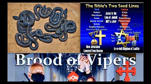 Khazarian Mafia Brood Of Vipers Unpardonable Sin Cursed Blood Land Judas Serpent Seed Cain Bloodline