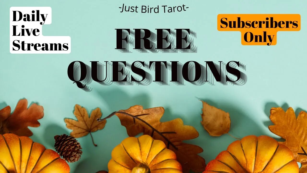 Live Tarot - FREE Questions + Priority Reads