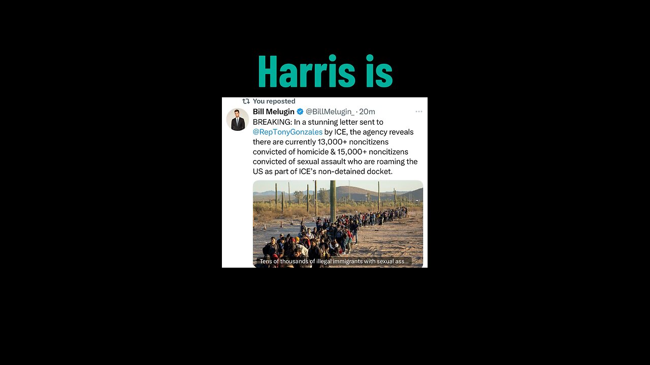Harris is guilty for the border crisis and any deaths associated with